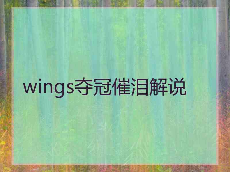 wings夺冠催泪解说