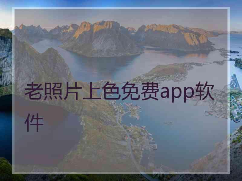 老照片上色免费app软件