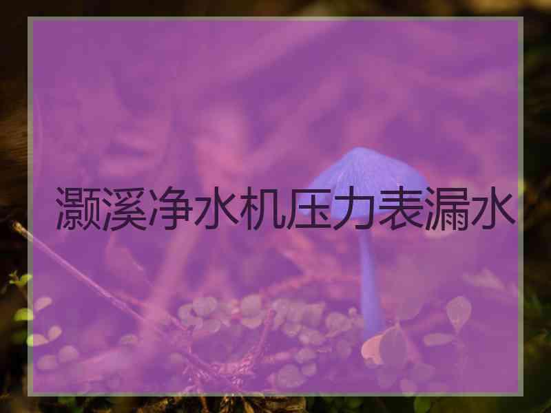 灏溪净水机压力表漏水