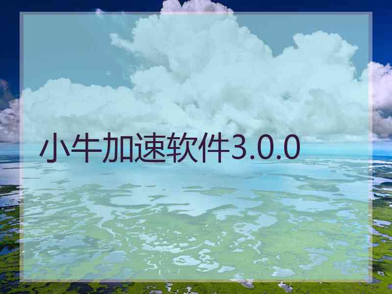 小牛加速软件3.0.0