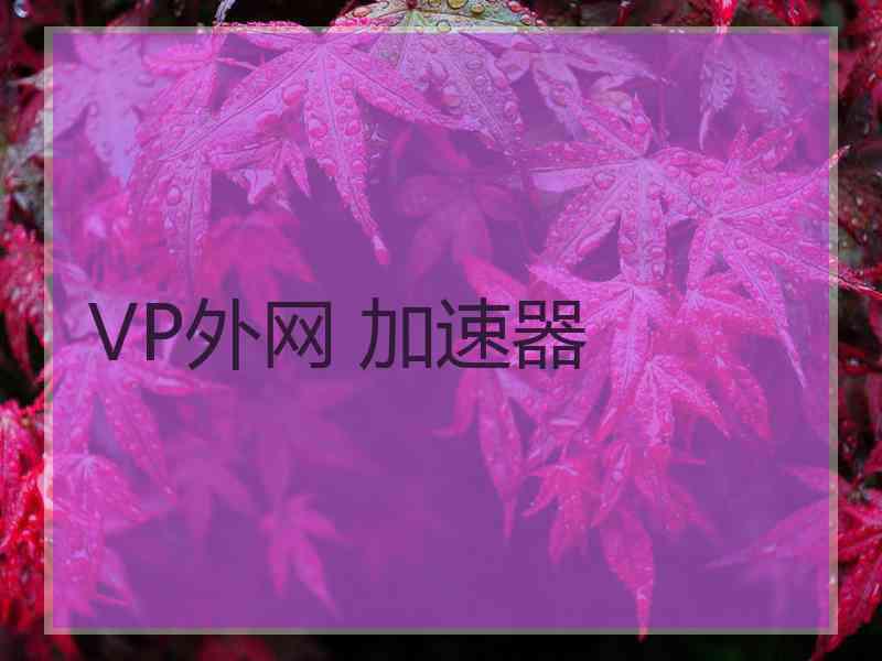 VP外网 加速器