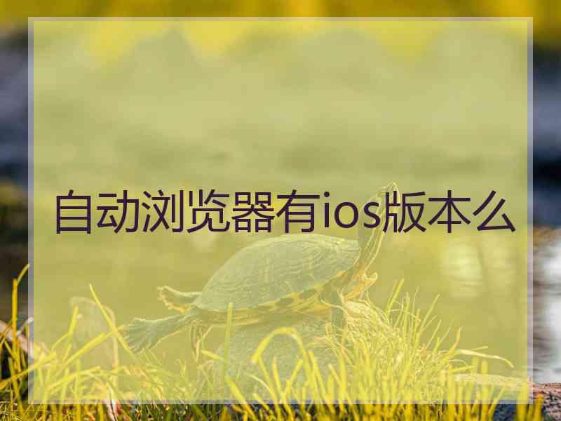 自动浏览器有ios版本么