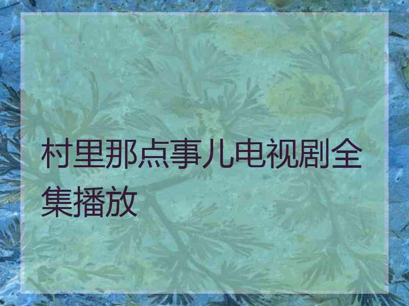 村里那点事儿电视剧全集播放