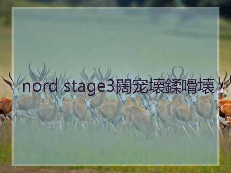 nord stage3闊宠壊鍒嗗壊