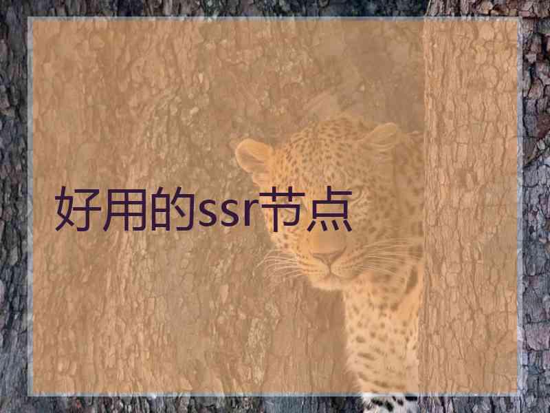 好用的ssr节点