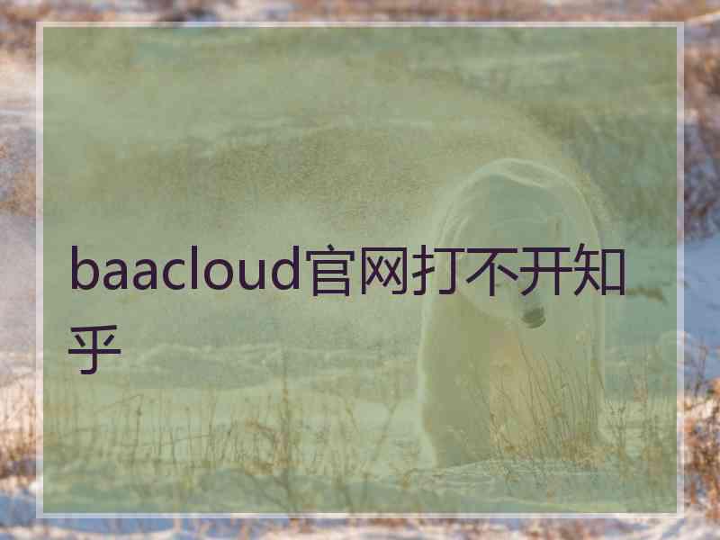 baacloud官网打不开知乎