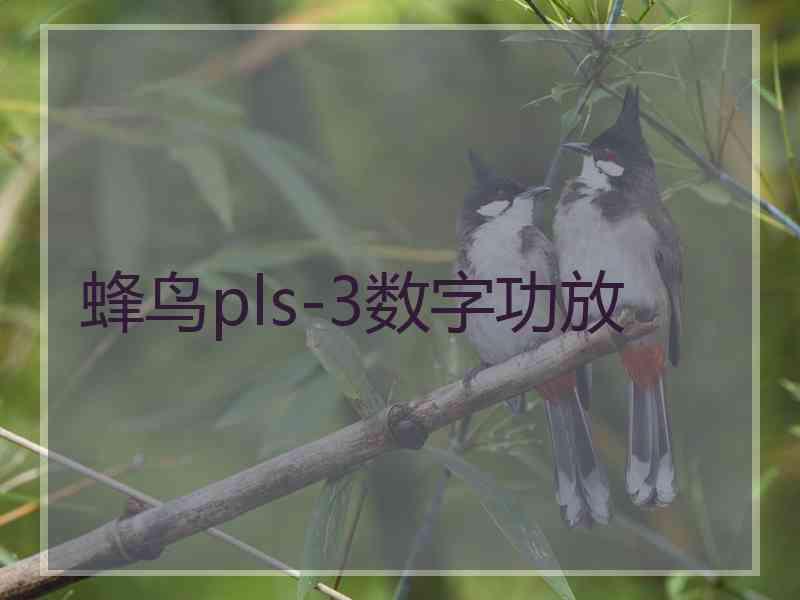 蜂鸟pls-3数字功放