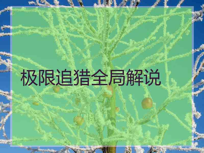 极限追猎全局解说