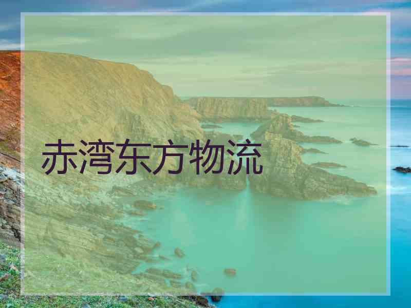 赤湾东方物流