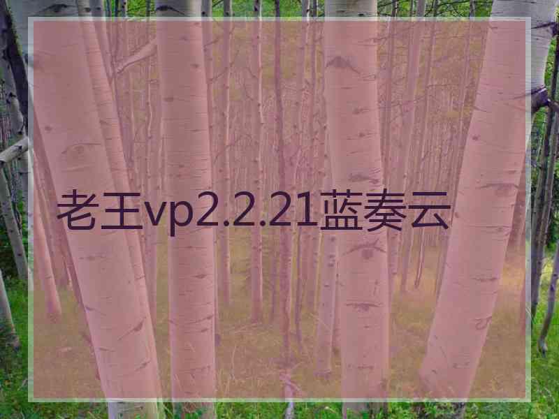 老王vp2.2.21蓝奏云