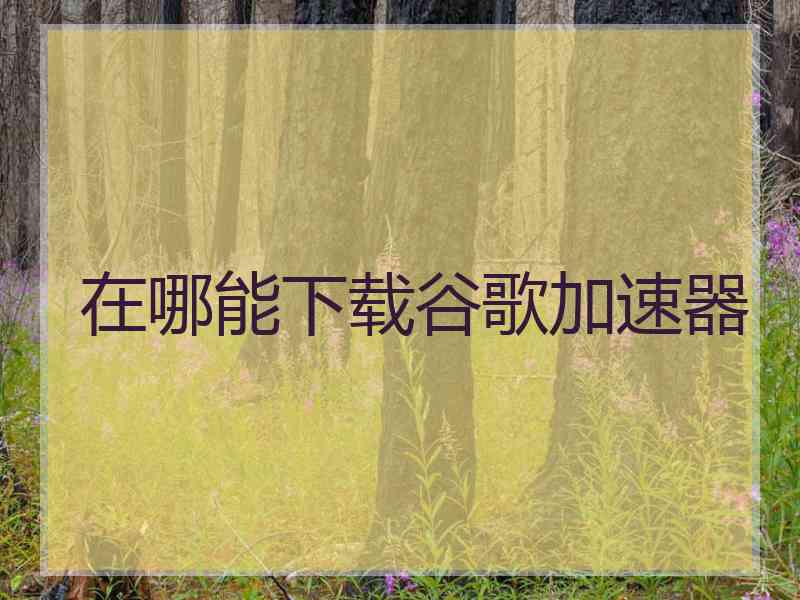 在哪能下载谷歌加速器