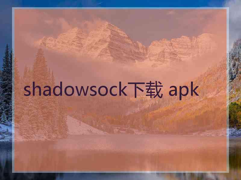 shadowsock下载 apk