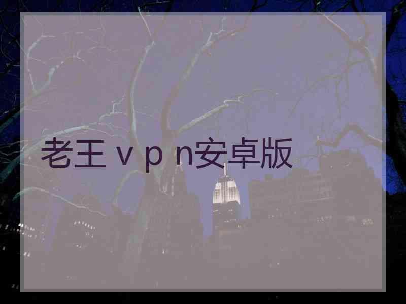 老王 v p n安卓版