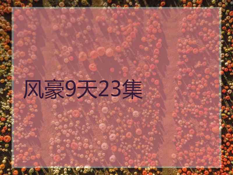 风豪9天23集