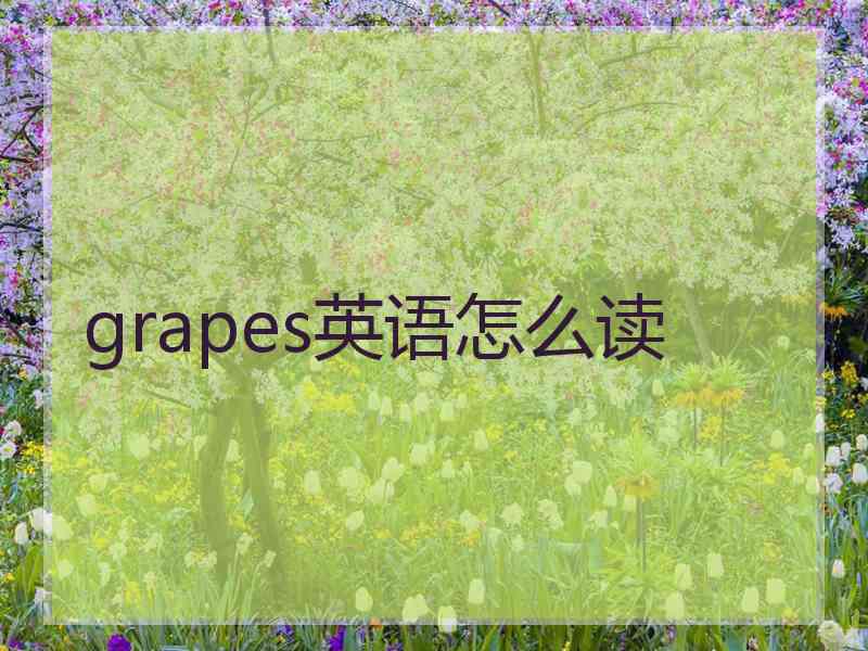 grapes英语怎么读