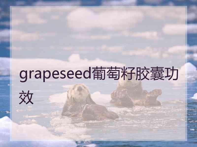 grapeseed葡萄籽胶囊功效