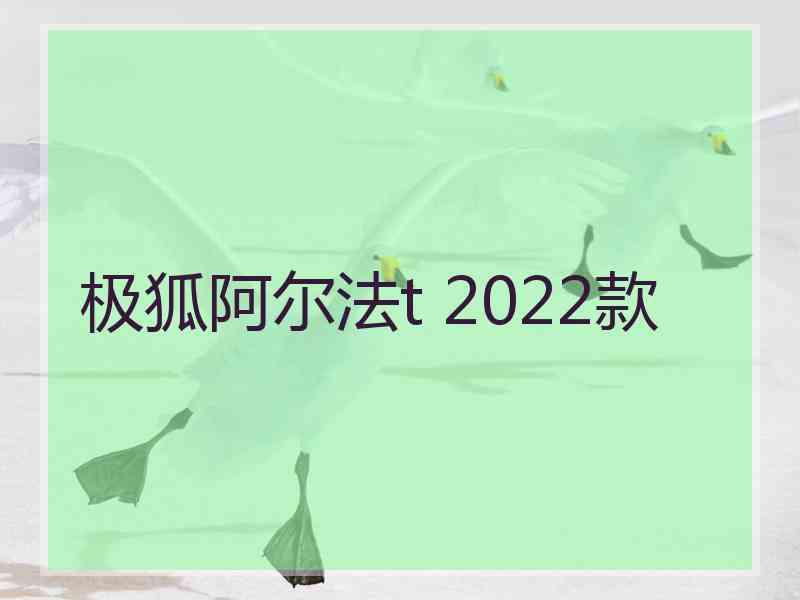 极狐阿尔法t 2022款