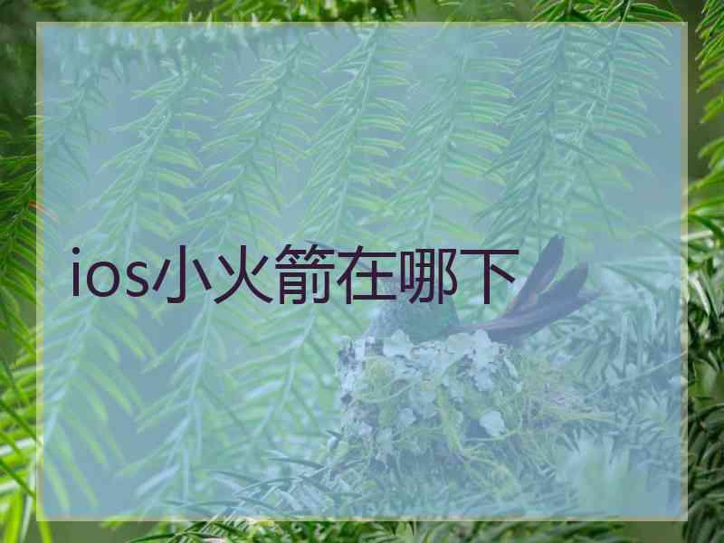 ios小火箭在哪下