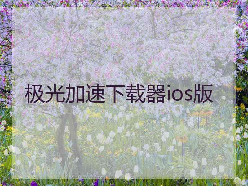 极光加速下载器ios版