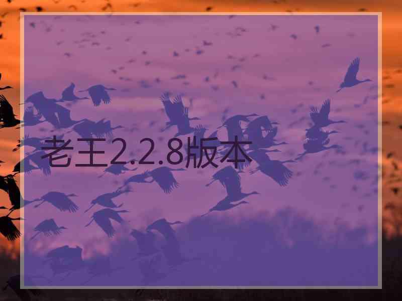 老王2.2.8版本