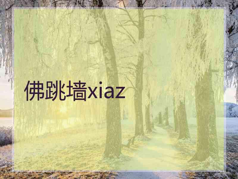 佛跳墙xiaz