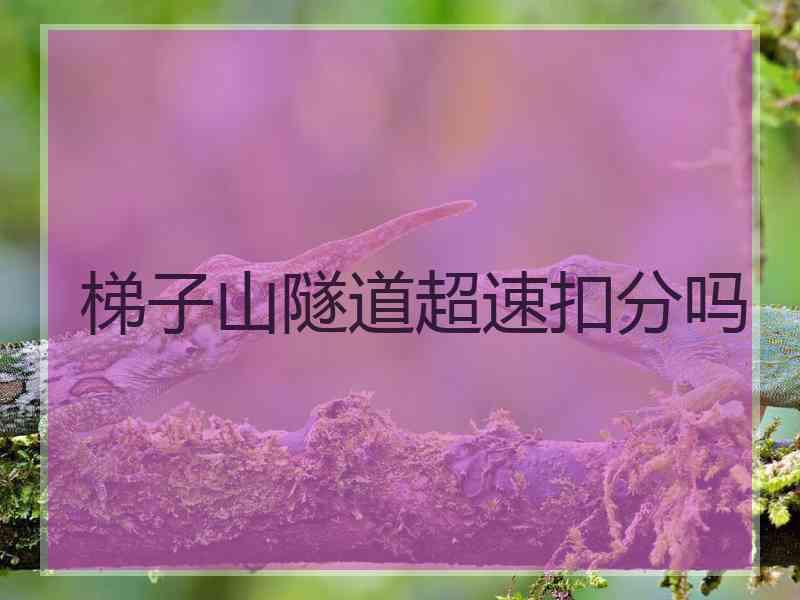 梯子山隧道超速扣分吗