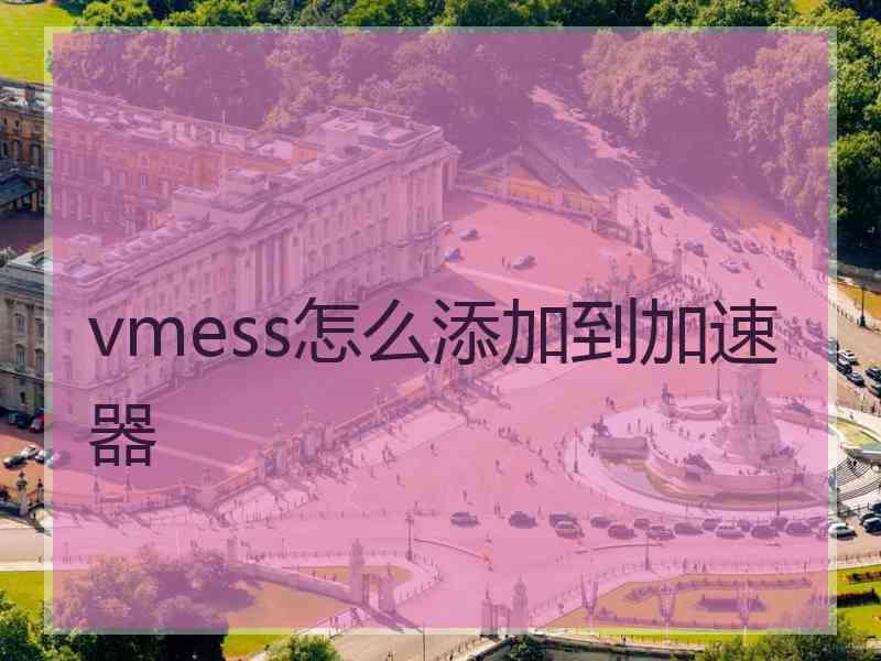 vmess怎么添加到加速器