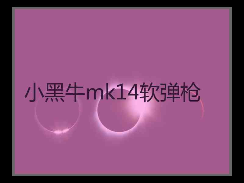 小黑牛mk14软弹枪