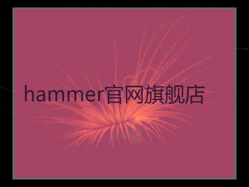 hammer官网旗舰店