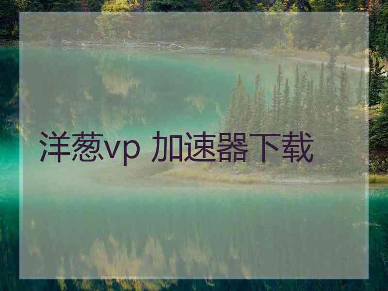 洋葱vp 加速器下载