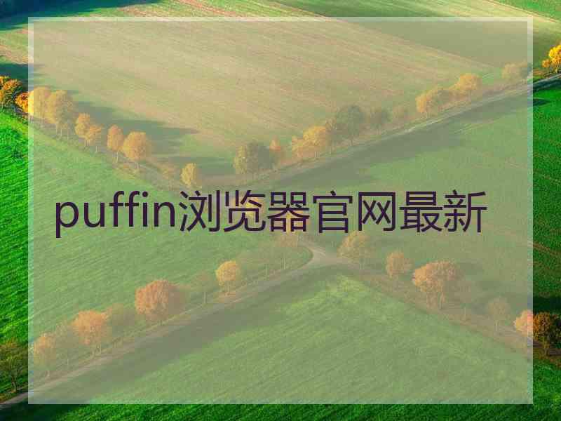 puffin浏览器官网最新