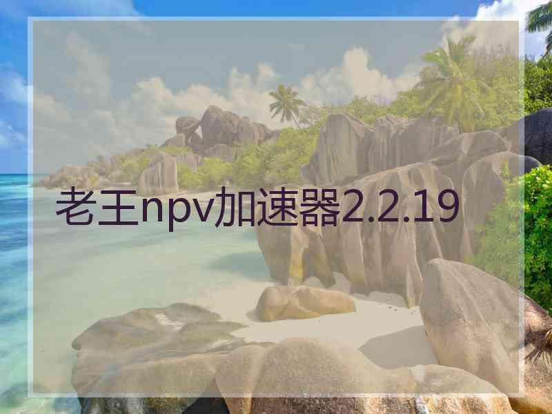 老王npv加速器2.2.19