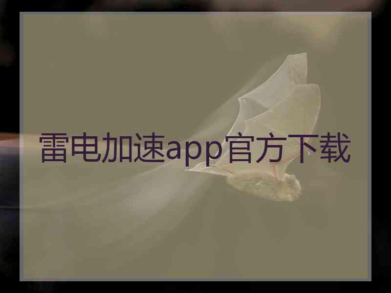 雷电加速app官方下载