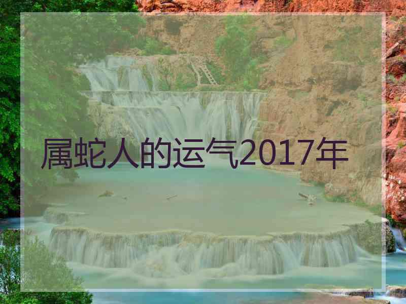 属蛇人的运气2017年