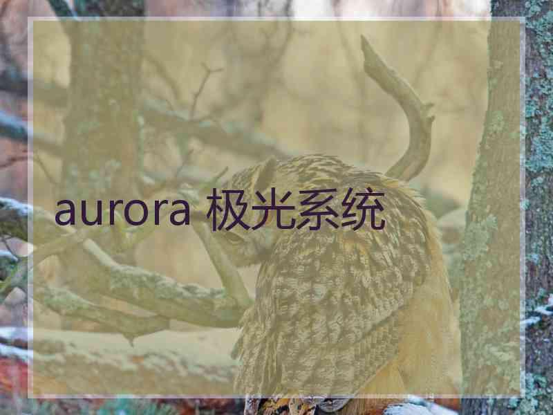 aurora 极光系统