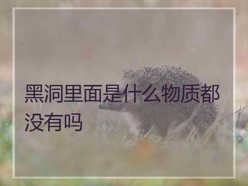 黑洞里面是什么物质都没有吗