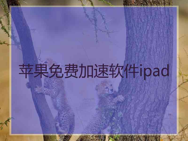 苹果免费加速软件ipad