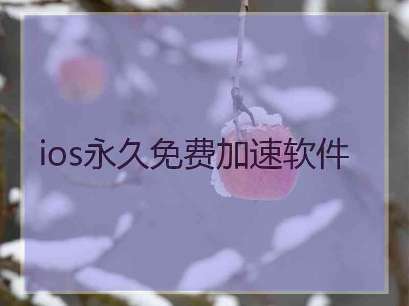 ios永久免费加速软件