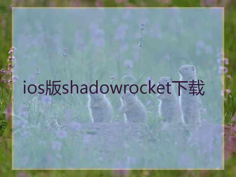 ios版shadowrocket下载