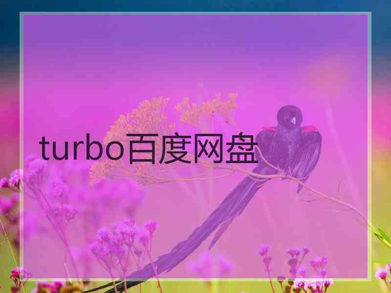 turbo百度网盘