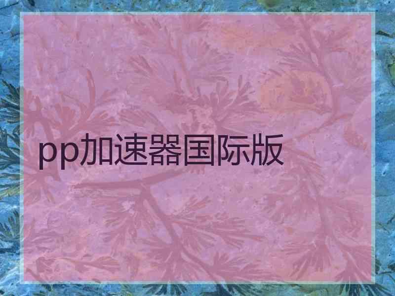 pp加速器国际版