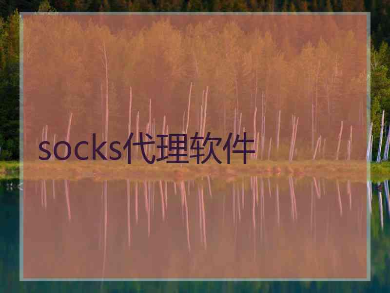 socks代理软件