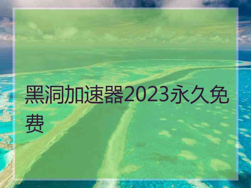 黑洞加速器2023永久免费