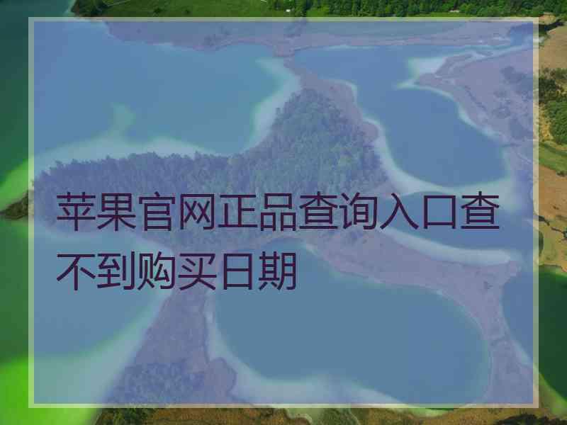 苹果官网正品查询入口查不到购买日期